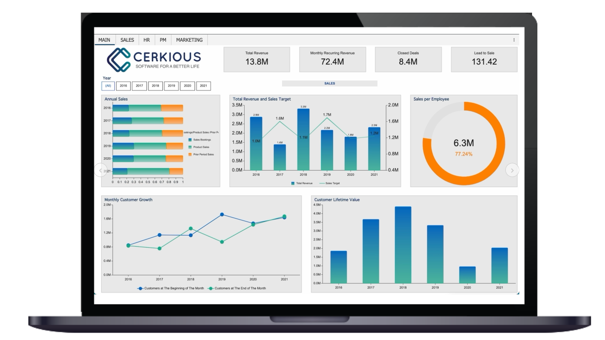 Business Intelligence CEO Dashboard